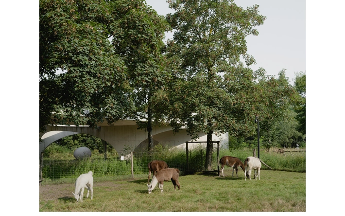 Product afbeelding: Duoticket LABIOMISTA