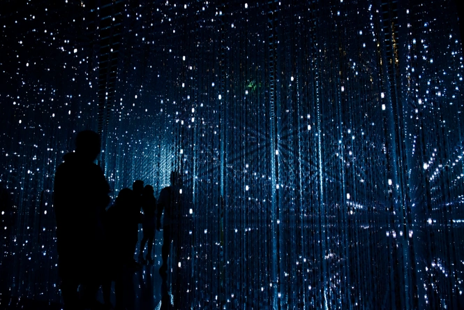 Product afbeelding: The exhibition “Futures”