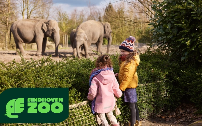 Product afbeelding: Eindhoven ZOO
