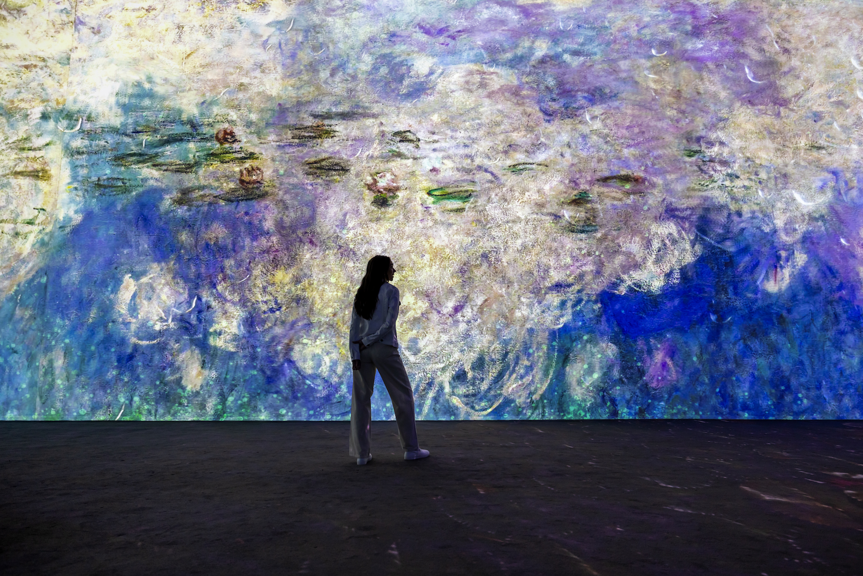 MONET_PS2.jpg